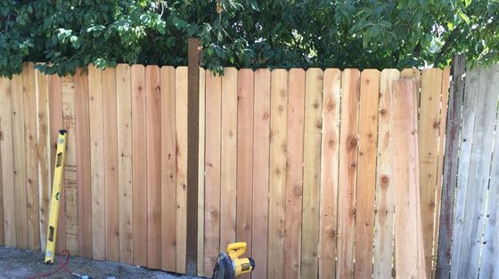 backyard fence